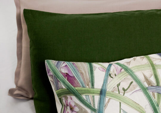 COLORADO PRINT PILLOWCASES SET
